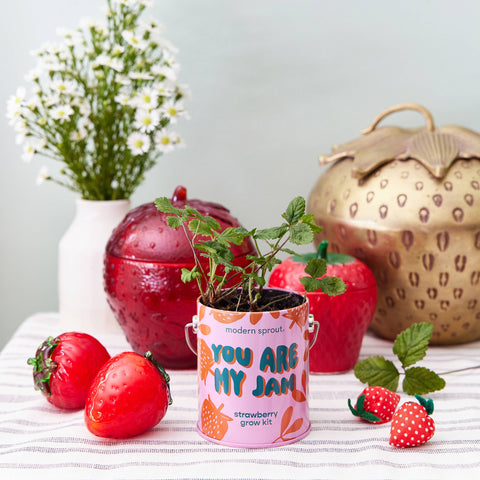 Mother's Day & Springtime