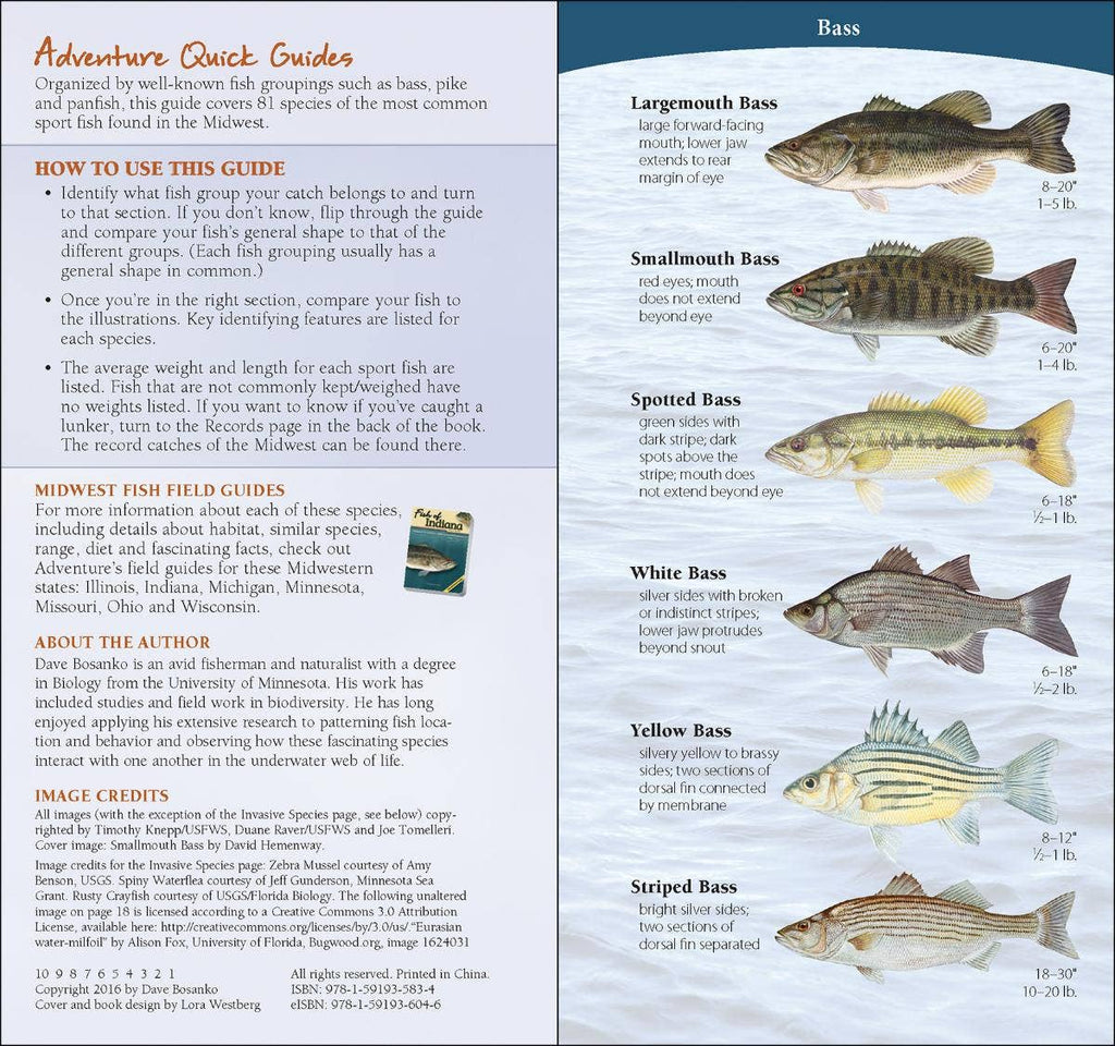 Fish of Midwest Quick Guide – Bench Pressed Letterpress