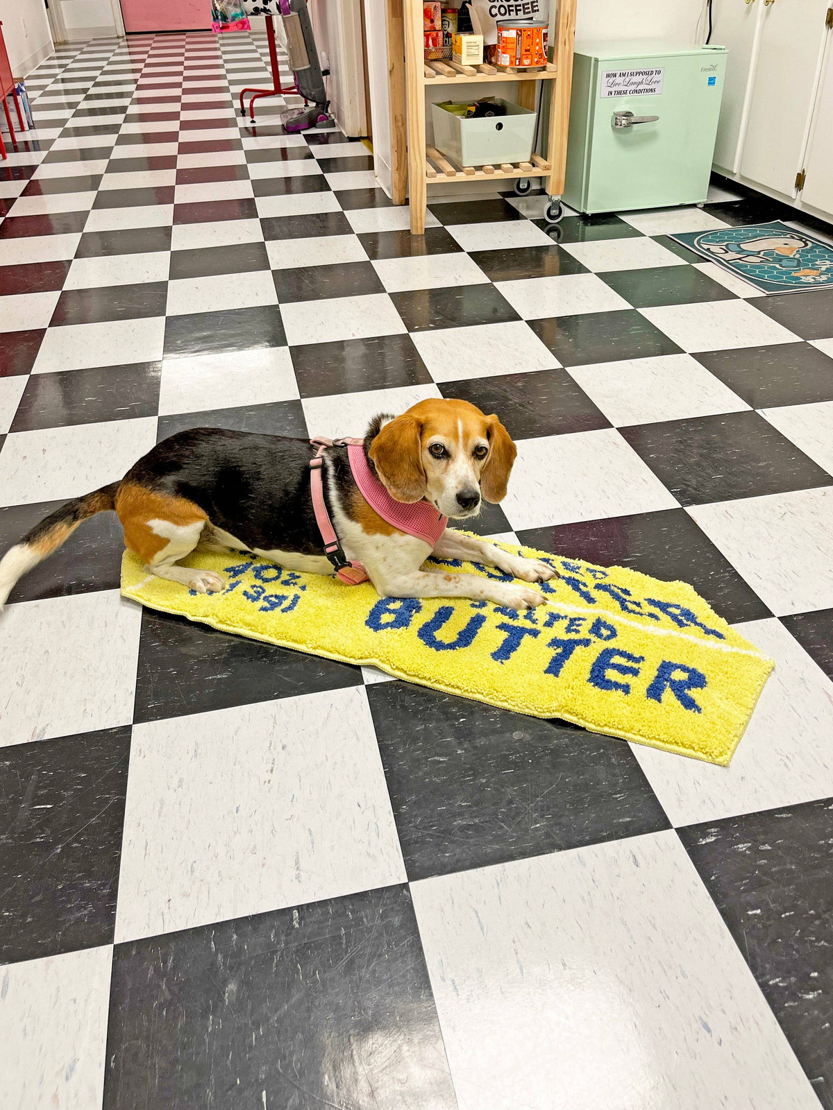 Butter Rug – Bench Pressed Letterpress